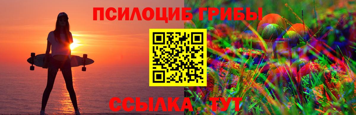 Баксан  Псилоцибиновые грибы мухоморы  Вход с VPN 